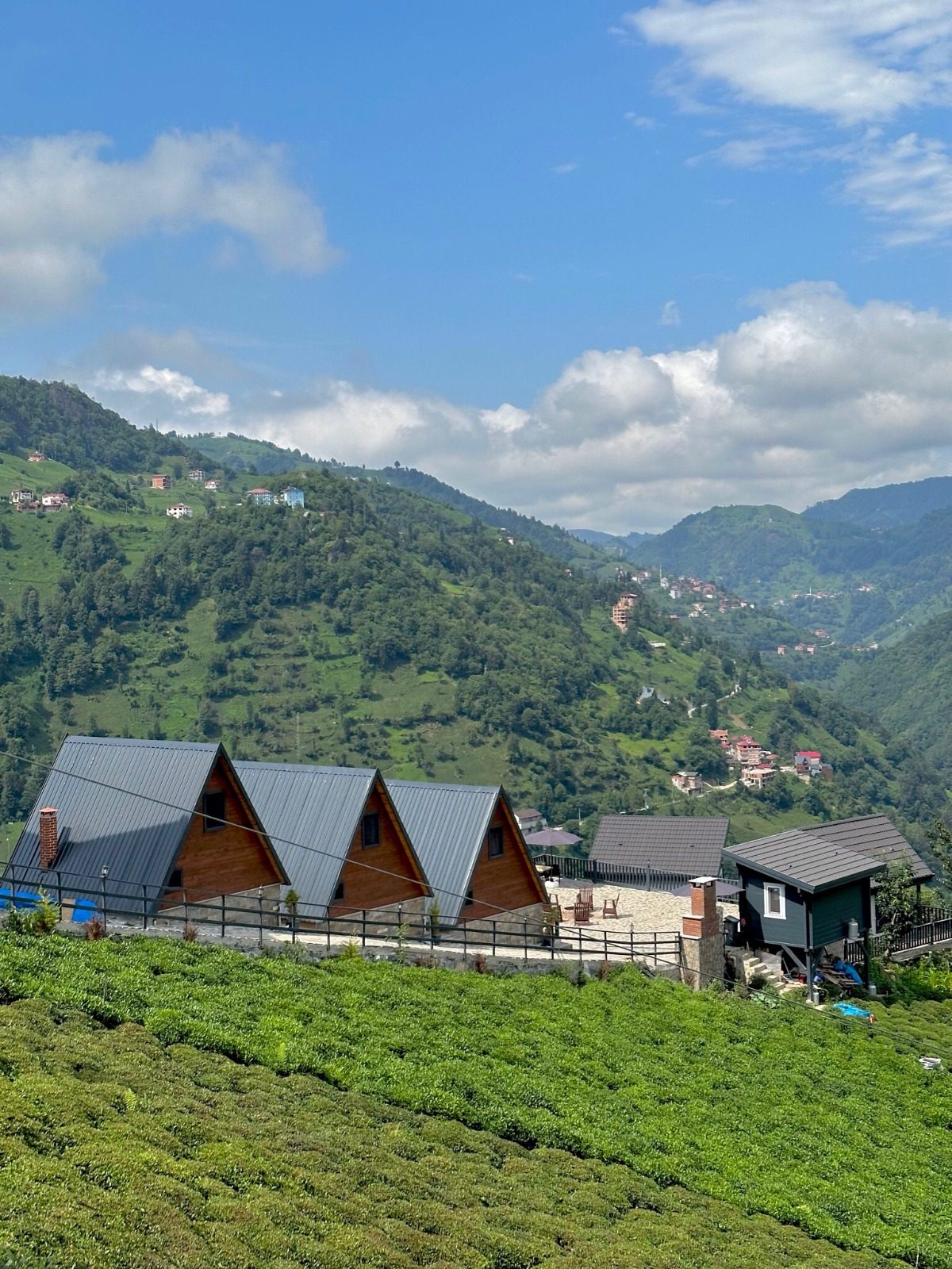 Rize Yaylaları - Pokut Yaylası Sis